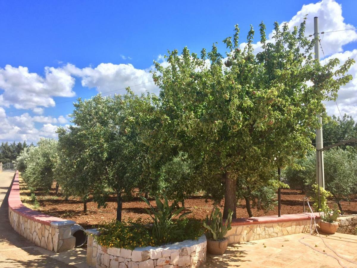 I Trulli Di Gina Appartamento Trullo 6 Persone Monopoli Bagian luar foto